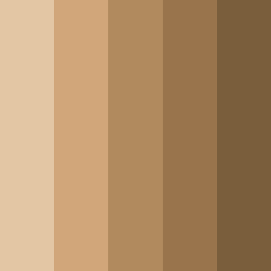 Download shades of brown color palette PNG image (square)