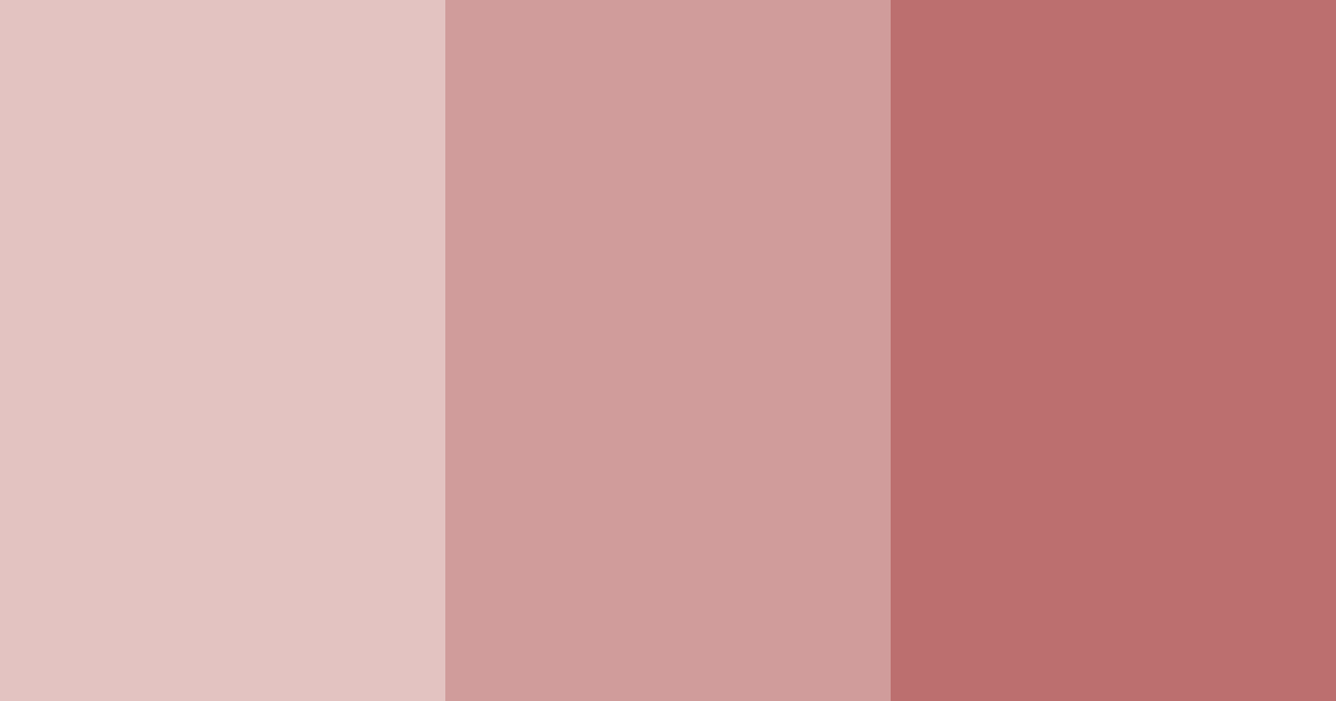 Download rosewood shades color palette PNG image (landscape)