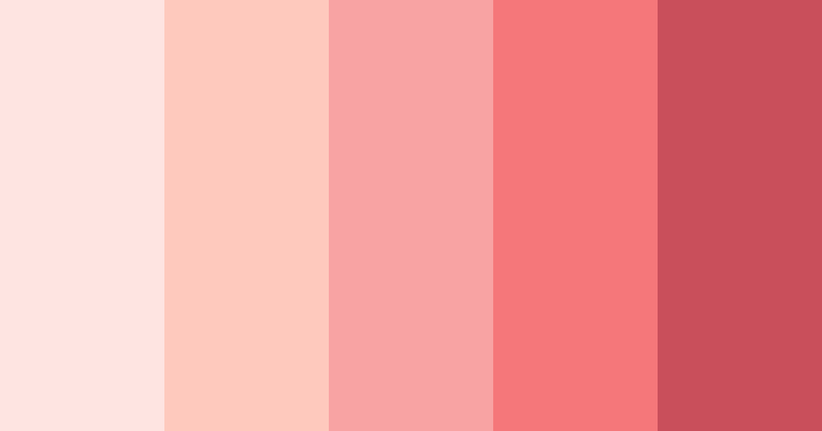 Download soft pink blush color palette PNG image (landscape)