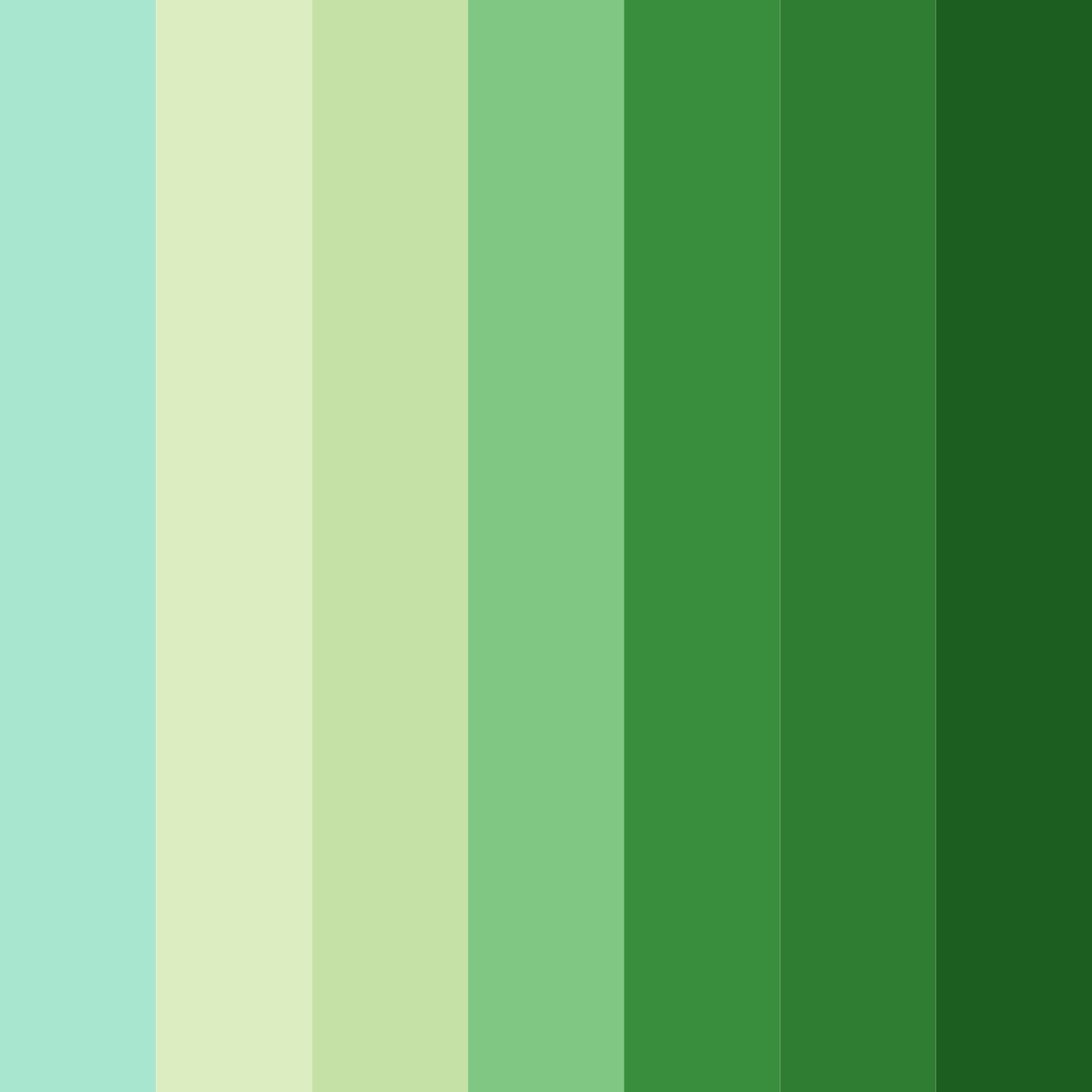 Download emerald haven color palette PNG image (square)