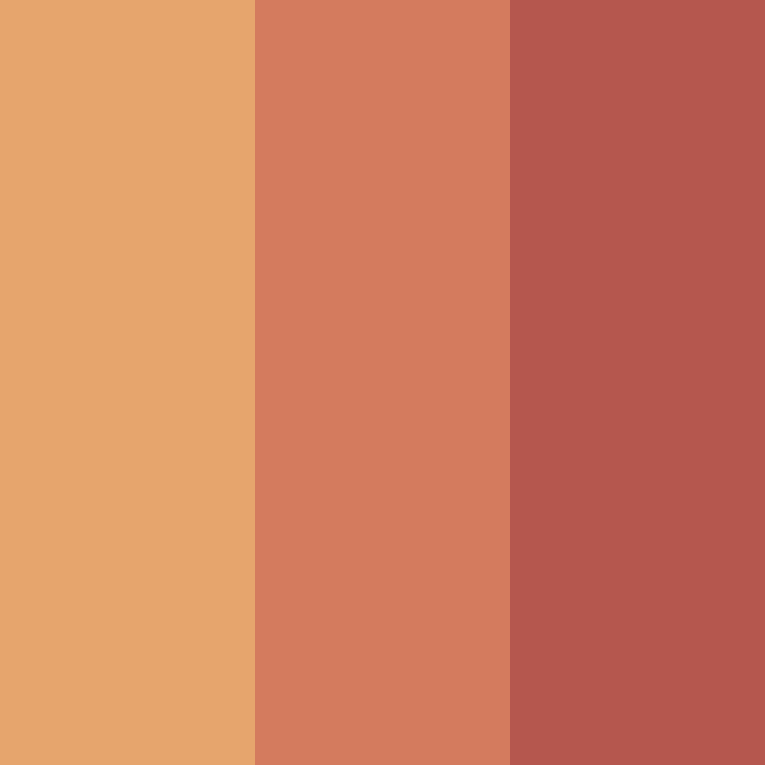 Download rustic sunset color palette PNG image (square)