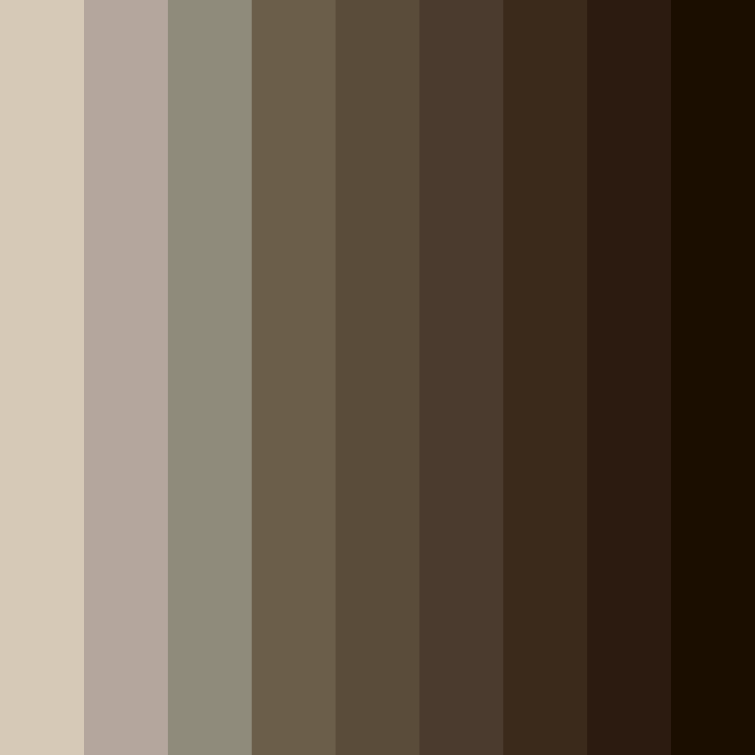 Download dark brown earth color palette PNG image (square)