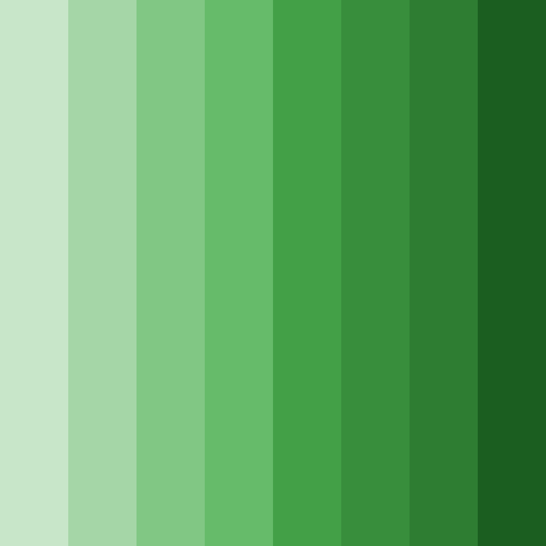 Download verdant symphony color palette PNG image (square)