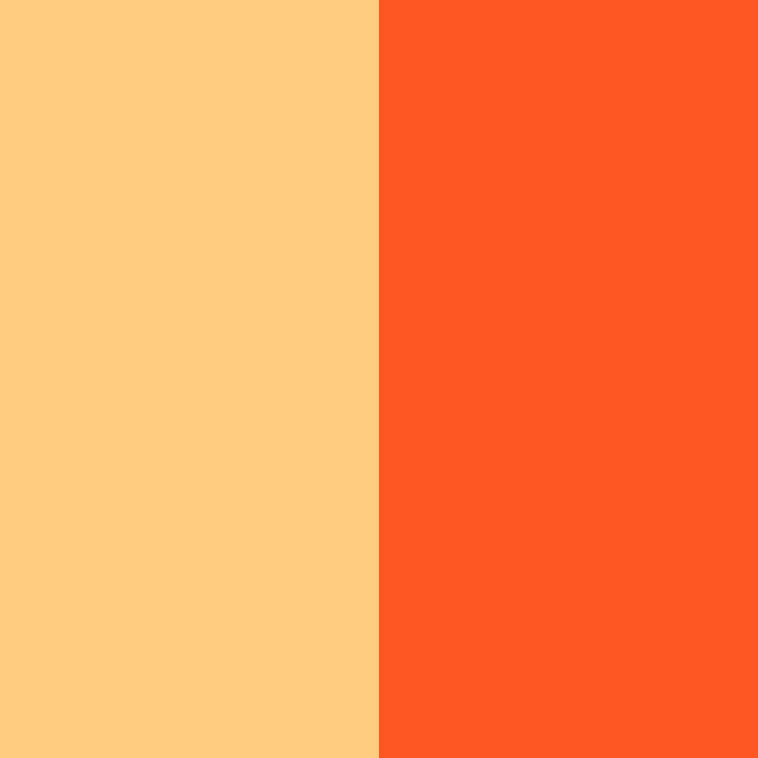 Download citrus sunset color palette PNG image (square)