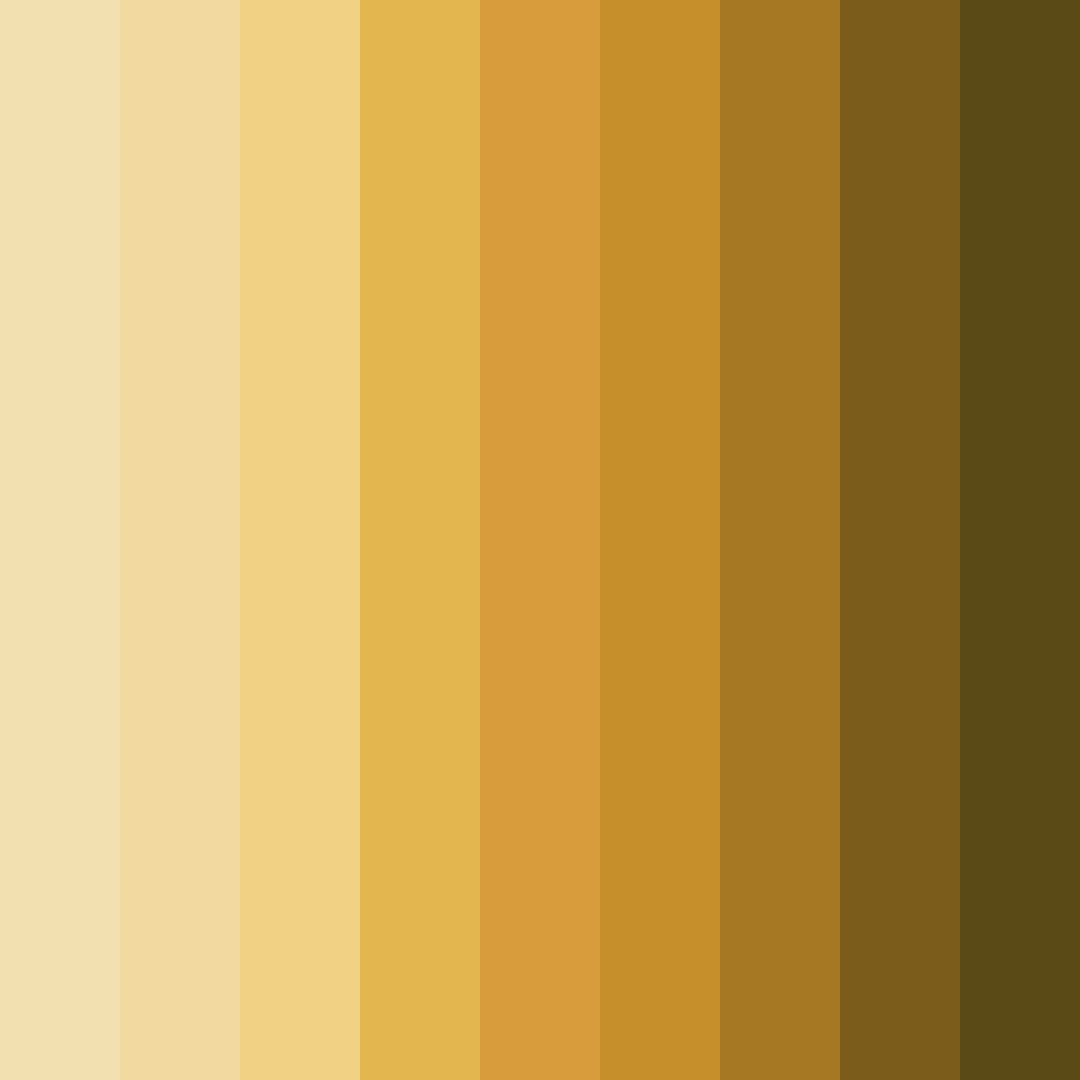Download sunlit harvest color palette PNG image (square)