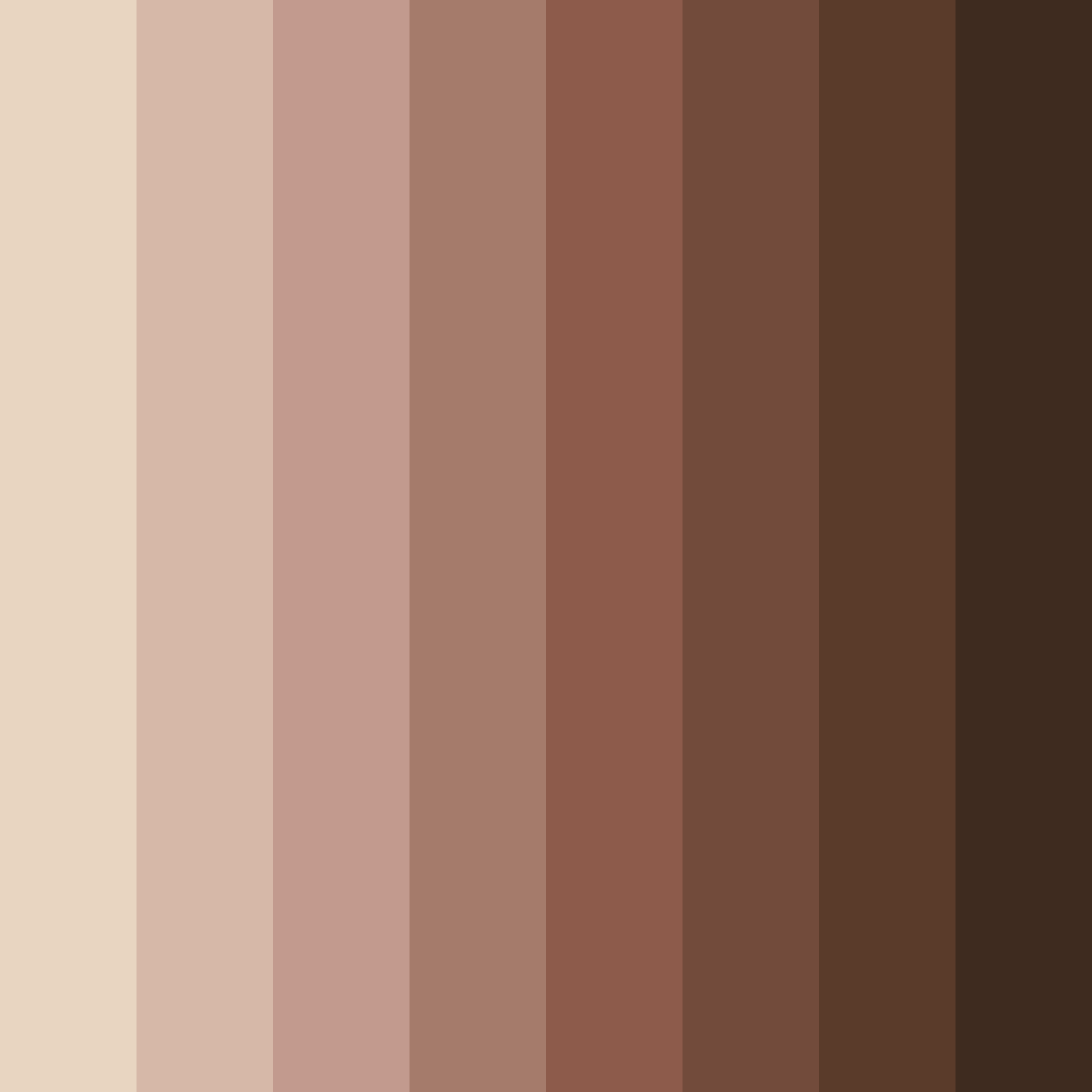 Download mocha shades color palette PNG image (square)