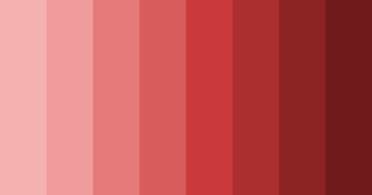 Download china red shades color palette PNG image (landscape)