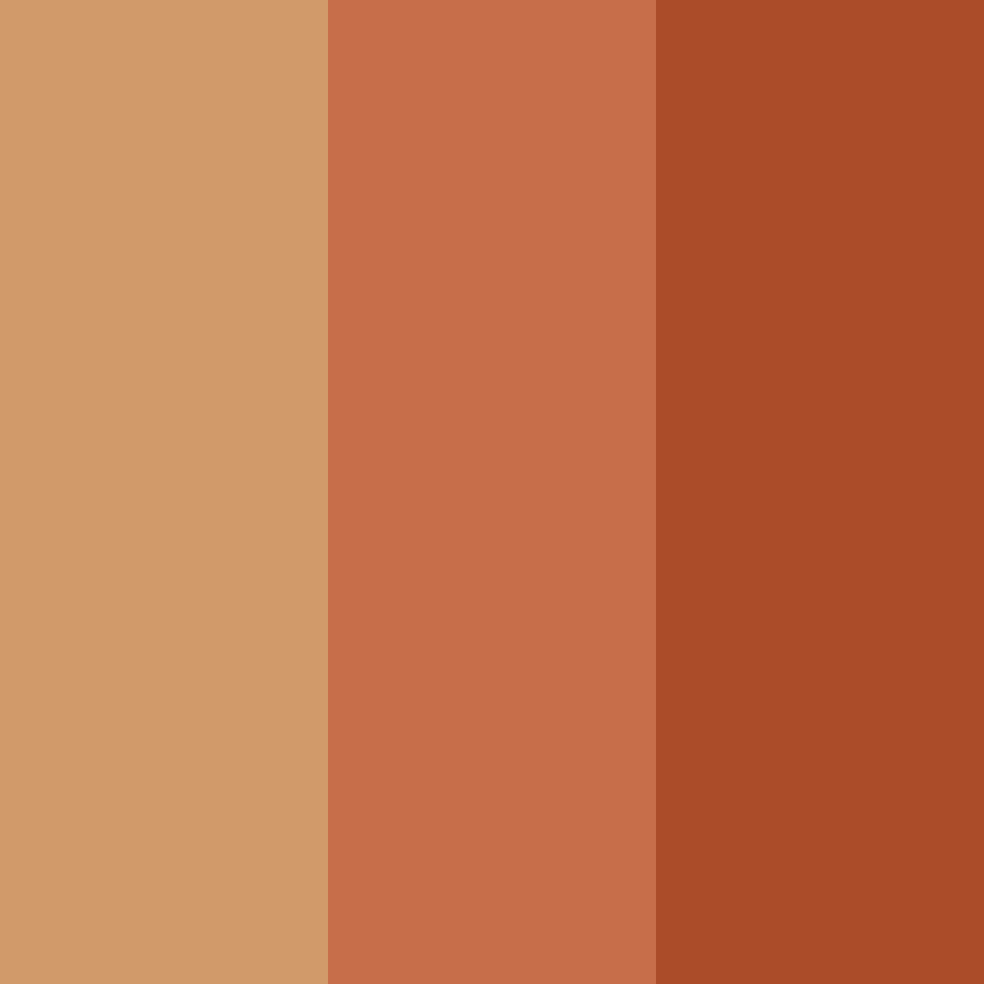 Download rustic ember color palette PNG image (square)