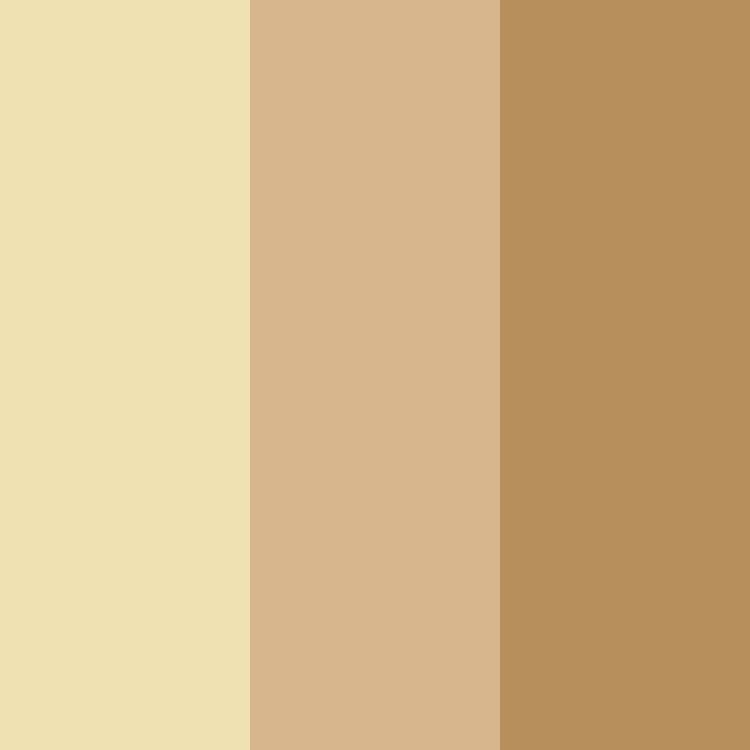 Download faded sunlight color palette PNG image (square)