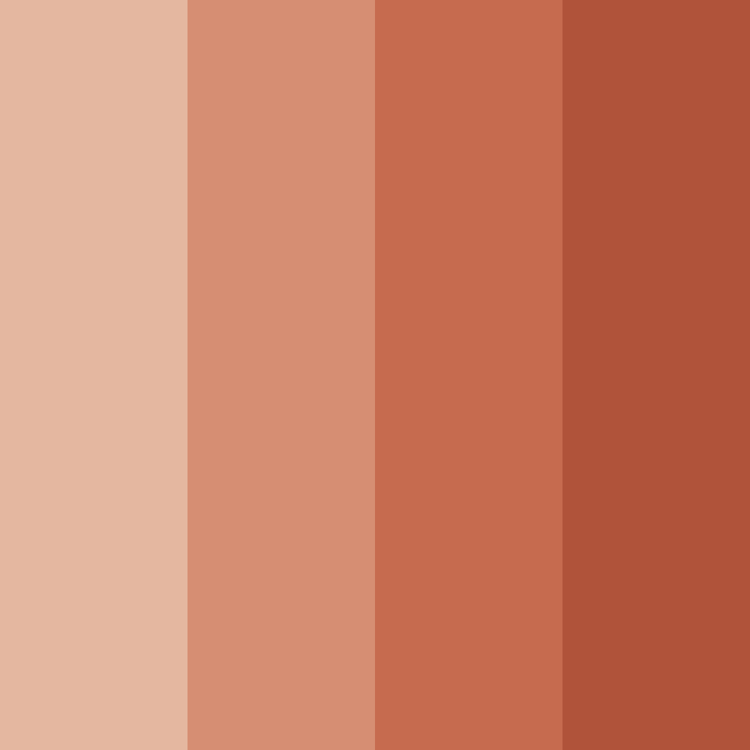 Download terracotta hues color palette PNG image (square)