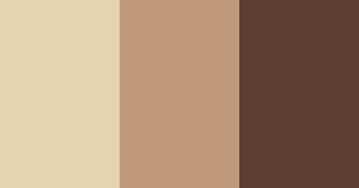 Download coffee shades color palette PNG image (landscape)