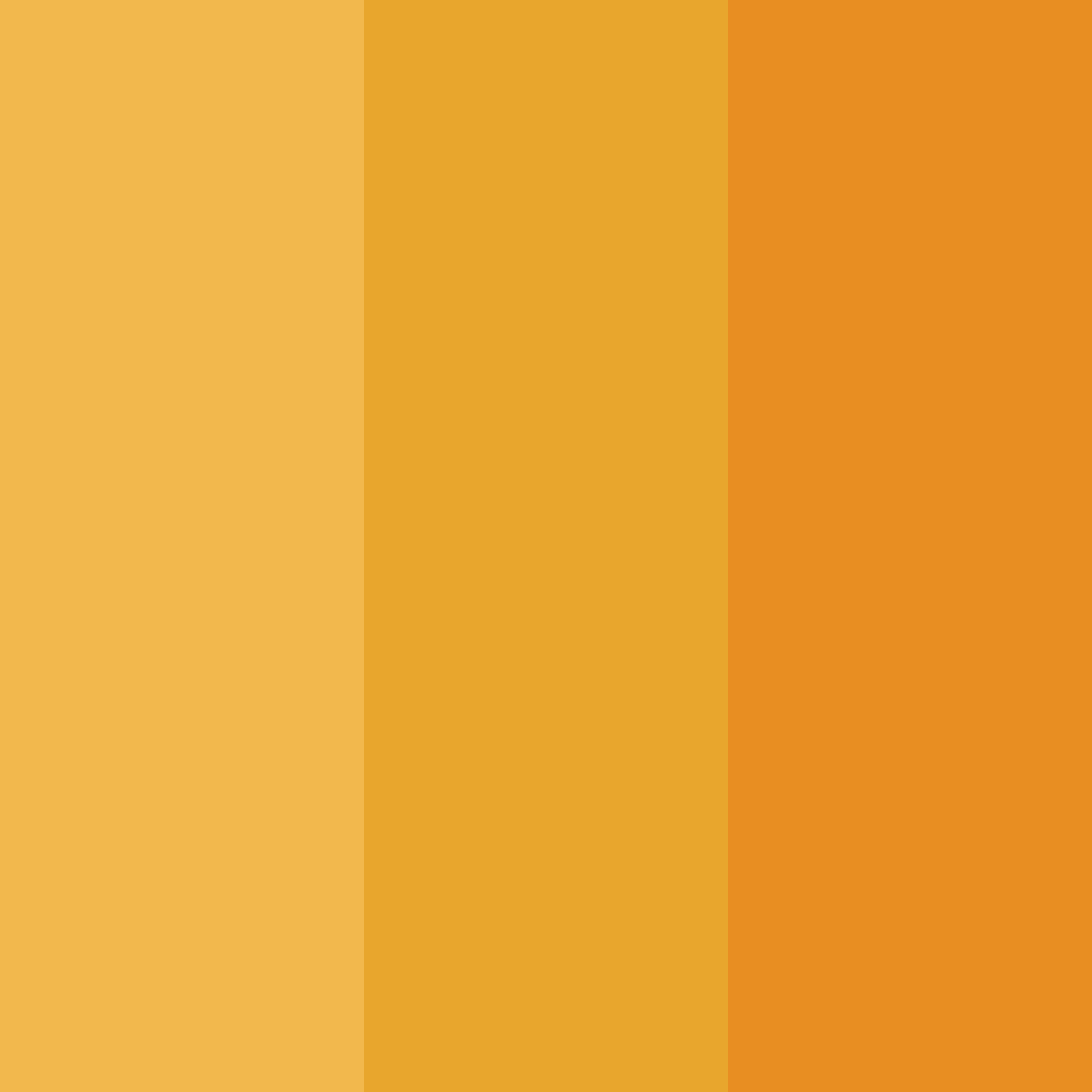 Download golden ember glow color palette PNG image (square)