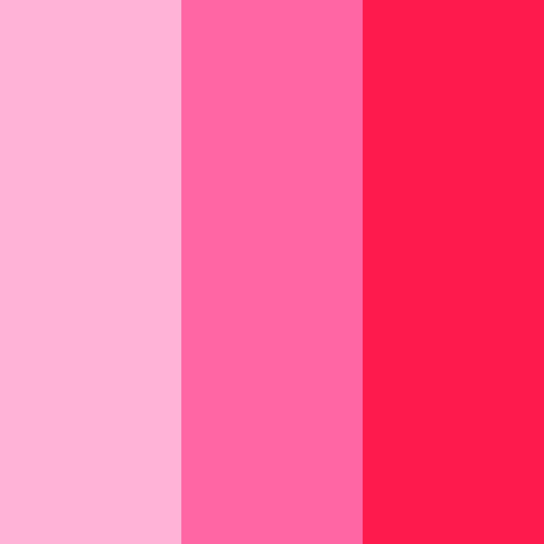 Download pink candy color palette PNG image (square)