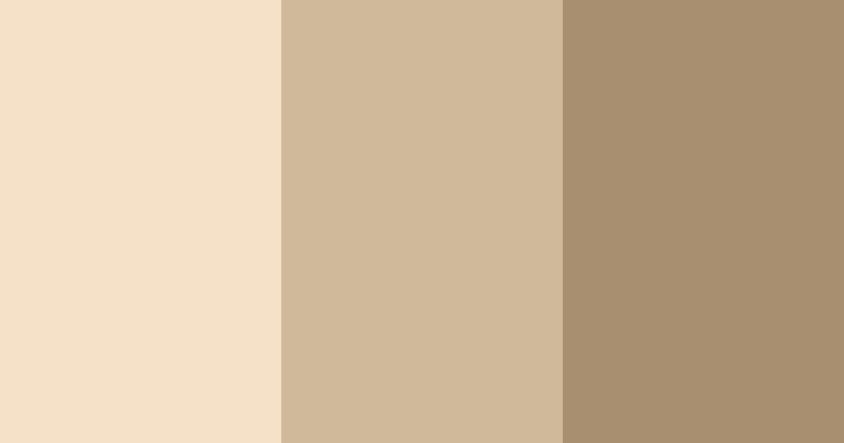 Download beige elegance color palette PNG image (landscape)