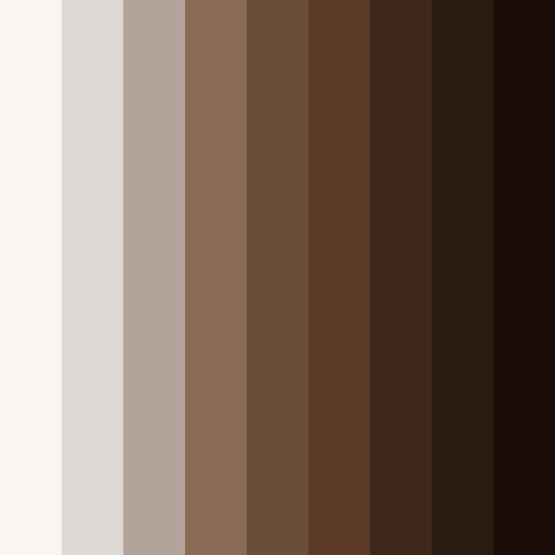 Download dark coffee color palette PNG image (square)