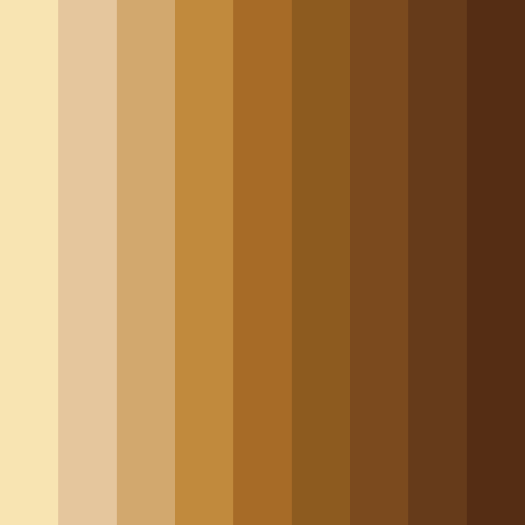 Download brown sunrise color palette PNG image (square)