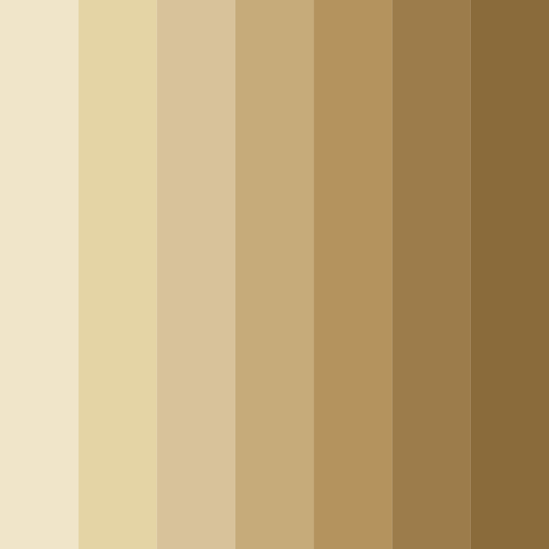 Download creamy beige color palette PNG image (square)