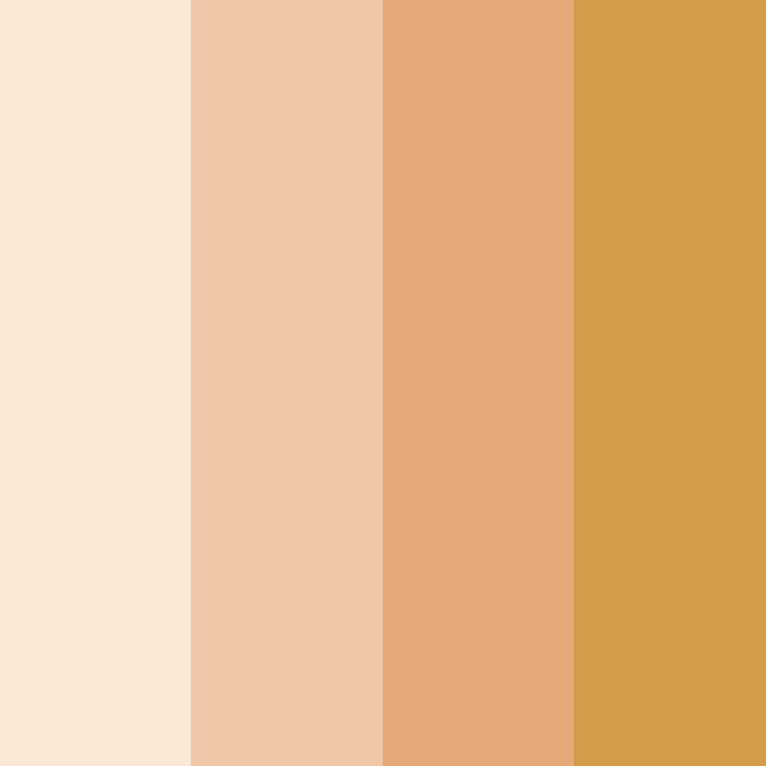 Download warm peach color palette PNG image (square)
