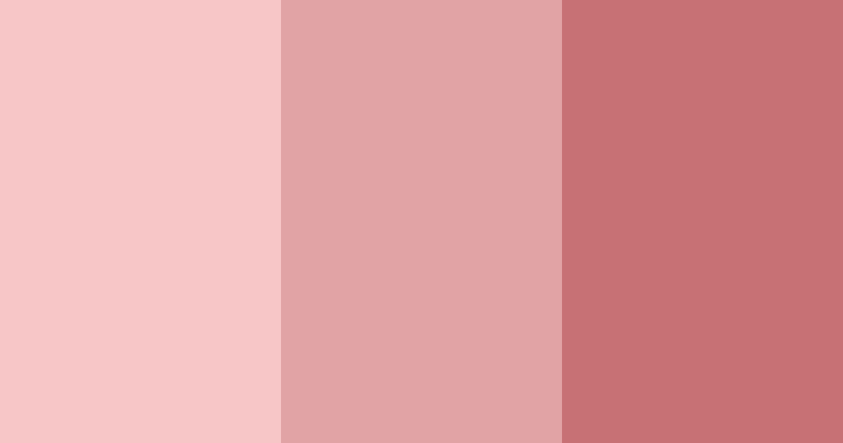Download havana blush color palette PNG image (landscape)