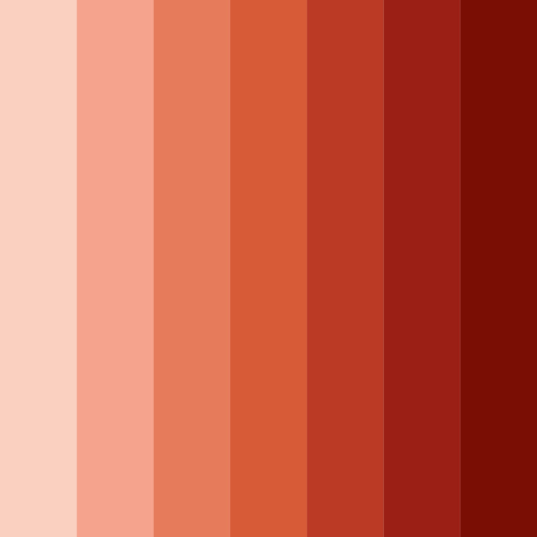 Download shades of coral color palette PNG image (square)