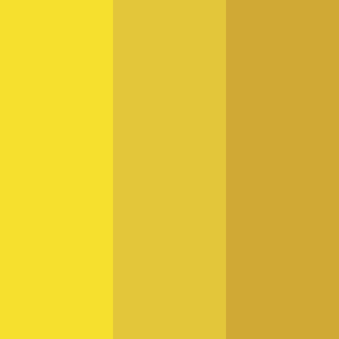 Download sunny harmony color palette PNG image (square)