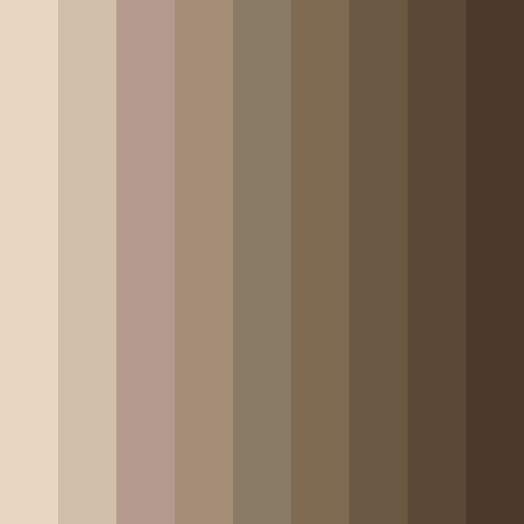 Download driftwood dreamscape color palette PNG image (square)