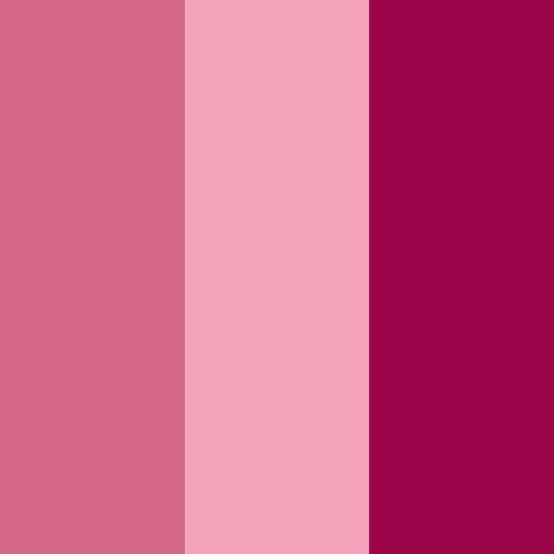 Download blushing rosewood color palette PNG image (square)