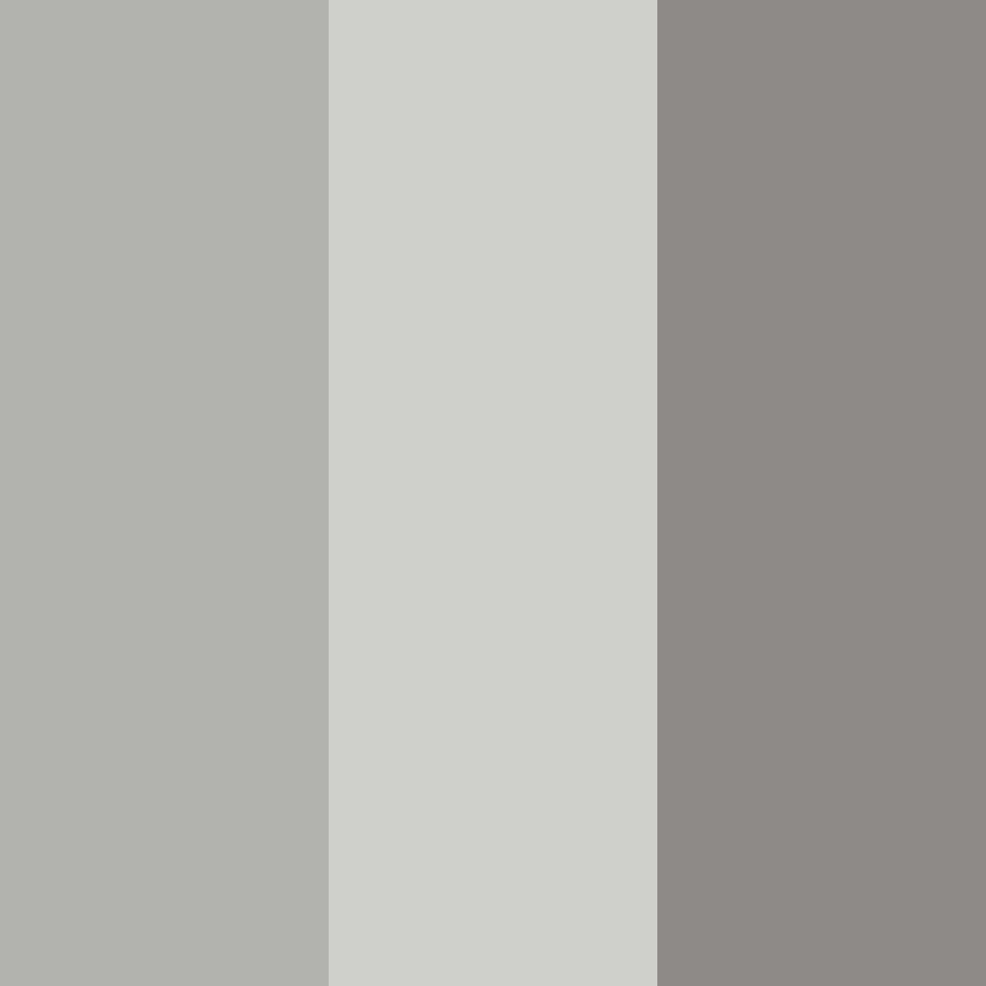 Download whispers of fog color palette PNG image (square)