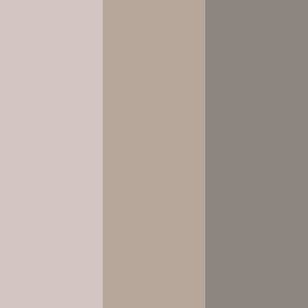 Download muted brown color palette PNG image (square)