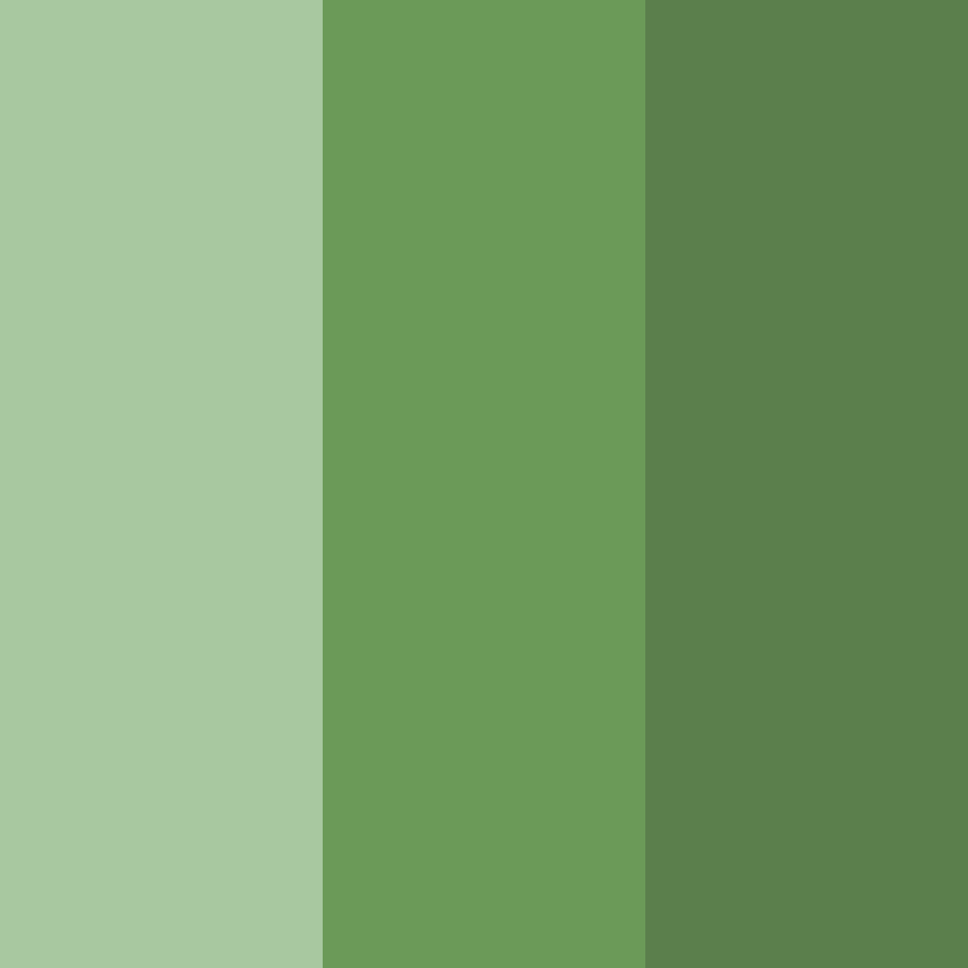 Download mossy haven color palette PNG image (square)