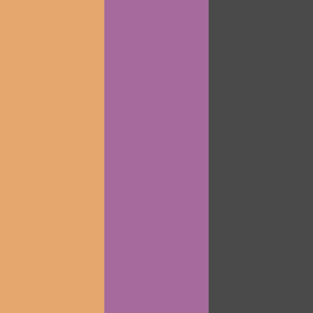 Download sunset harmony color palette PNG image (square)