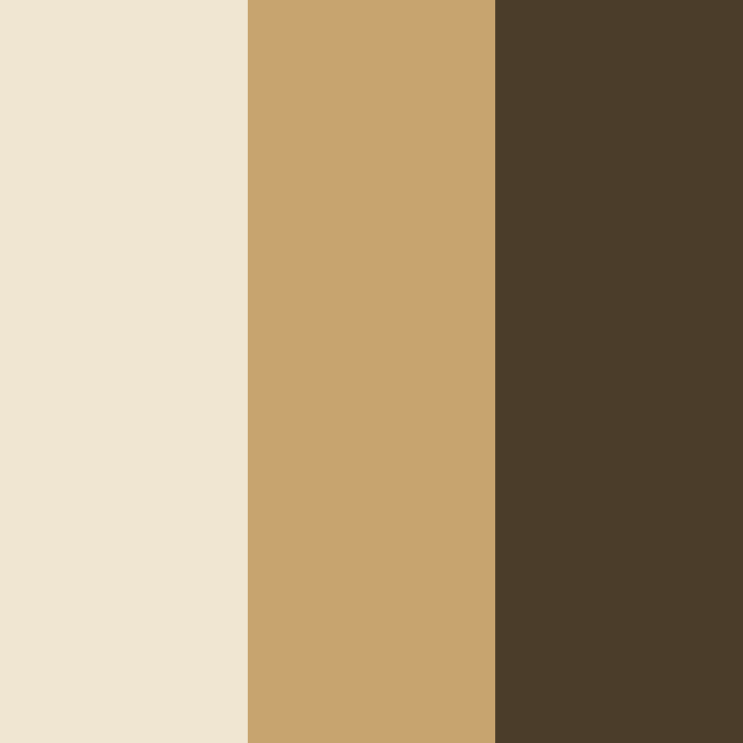 Download elegant commerce color palette PNG image (square)