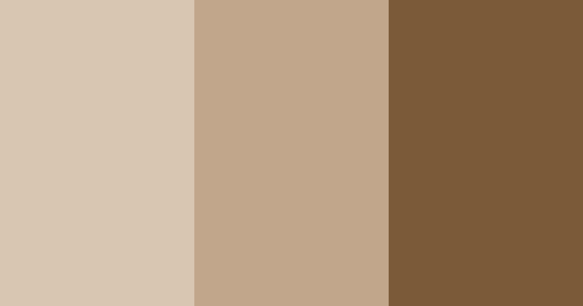 Download brown shades color palette PNG image (landscape)