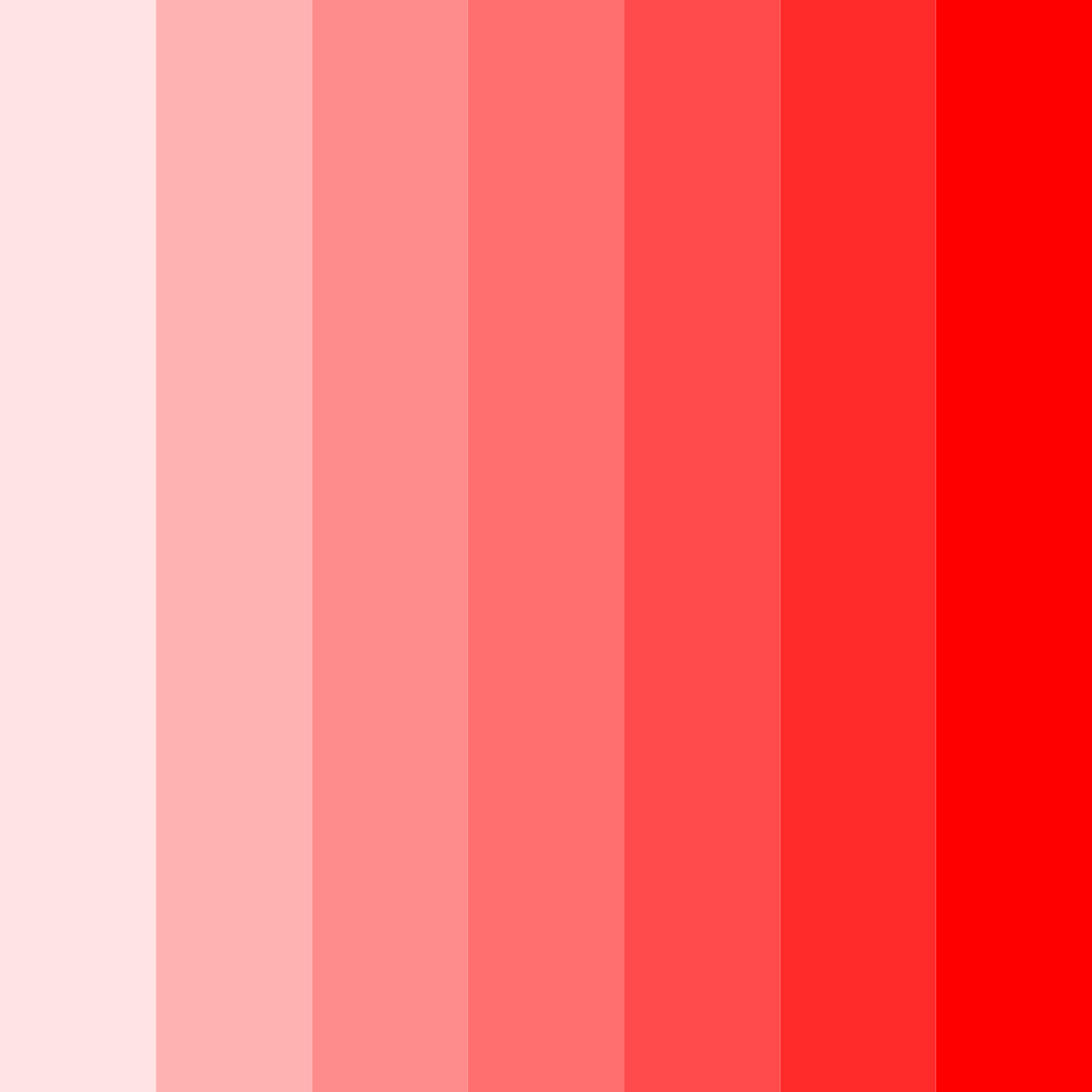 Download cherry blossom burst color palette PNG image (square)