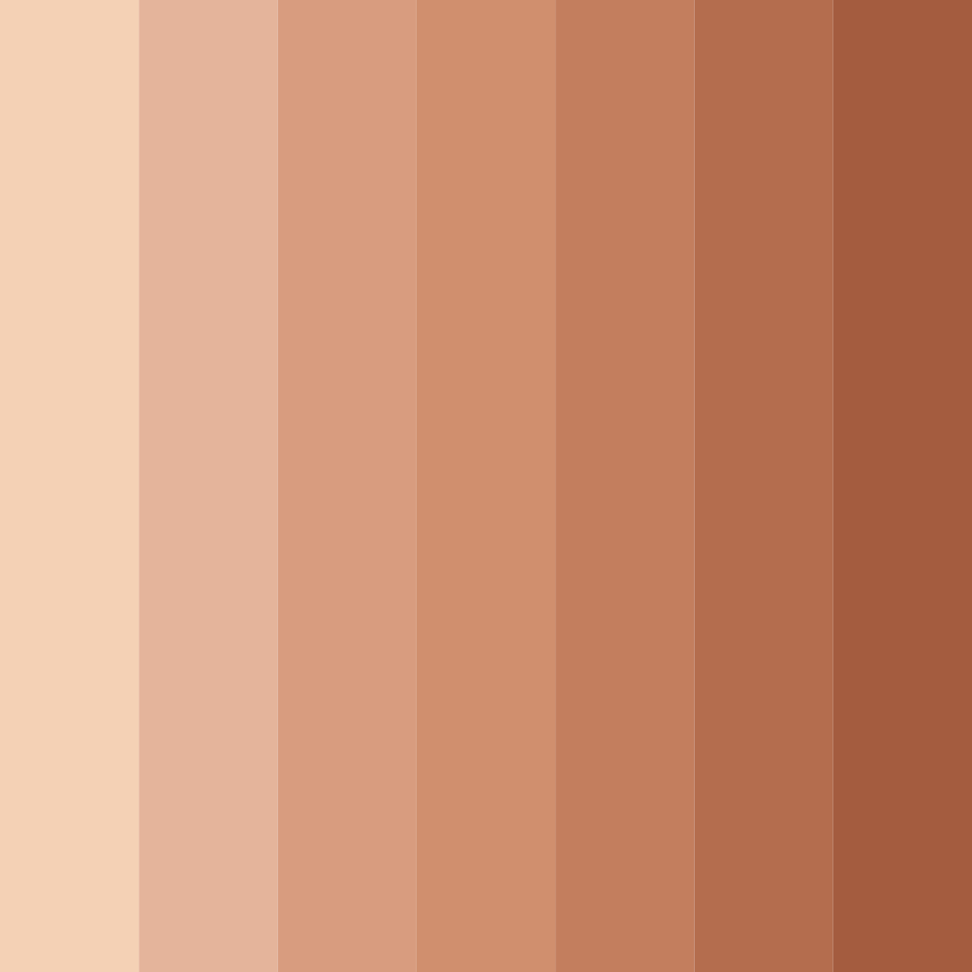 Download warm peach color palette PNG image (square)