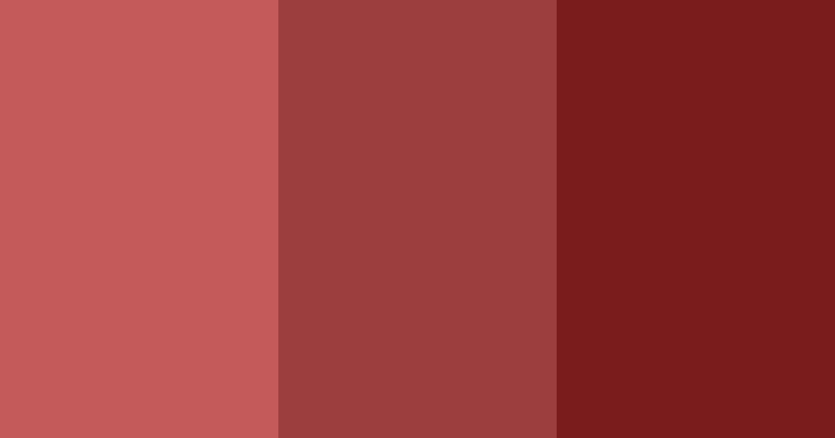 Download warm dark red color palette PNG image (landscape)