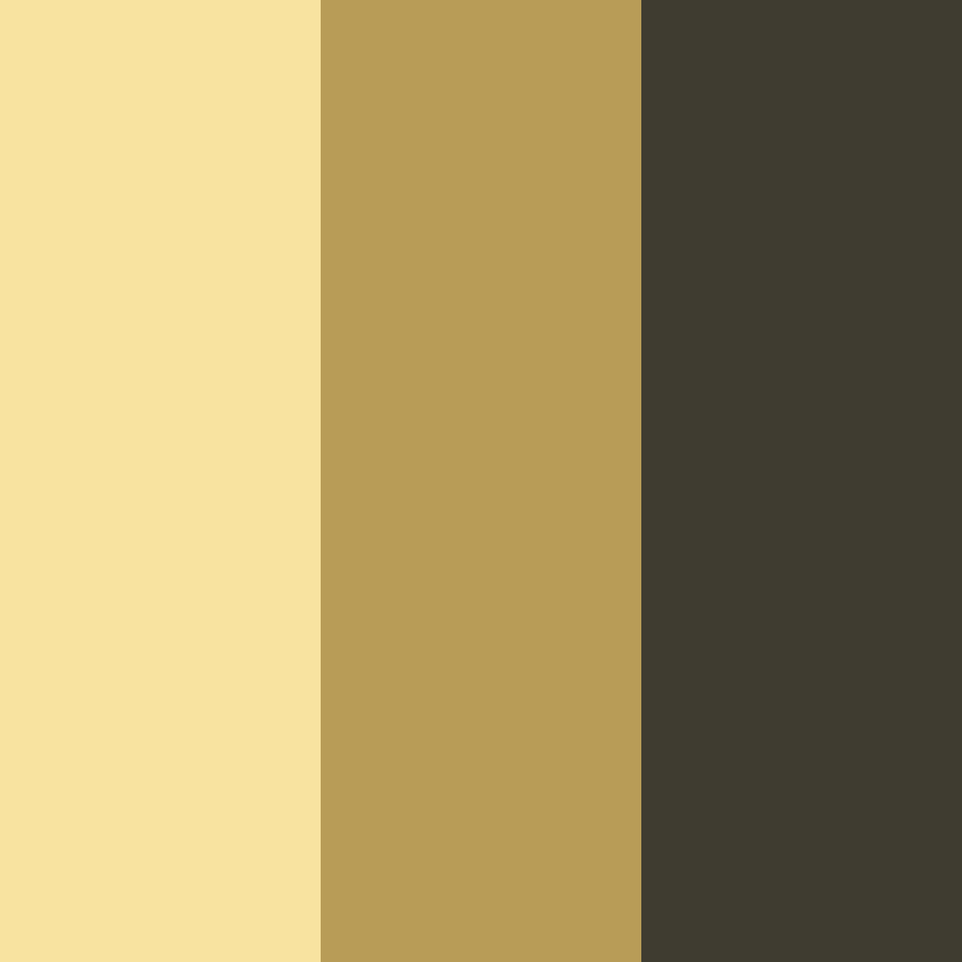 Download black and gold elegance color palette PNG image (square)