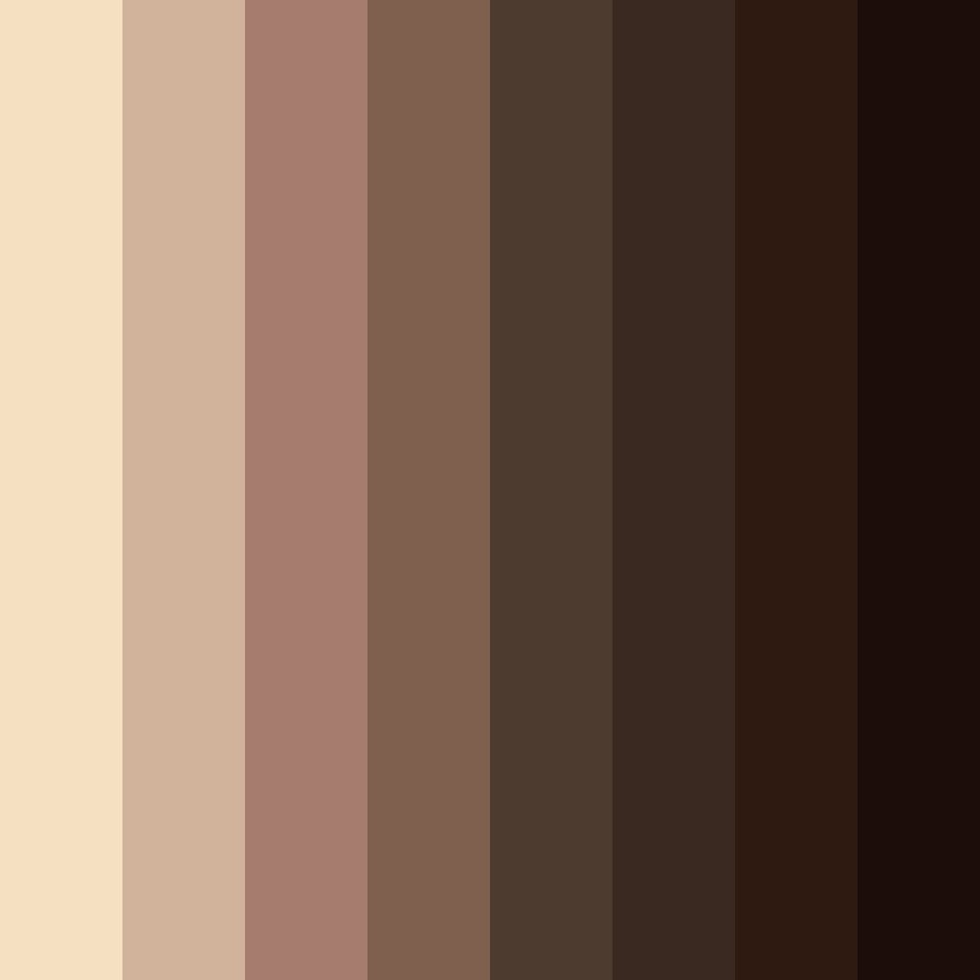 Download brown coffee color palette PNG image (square)