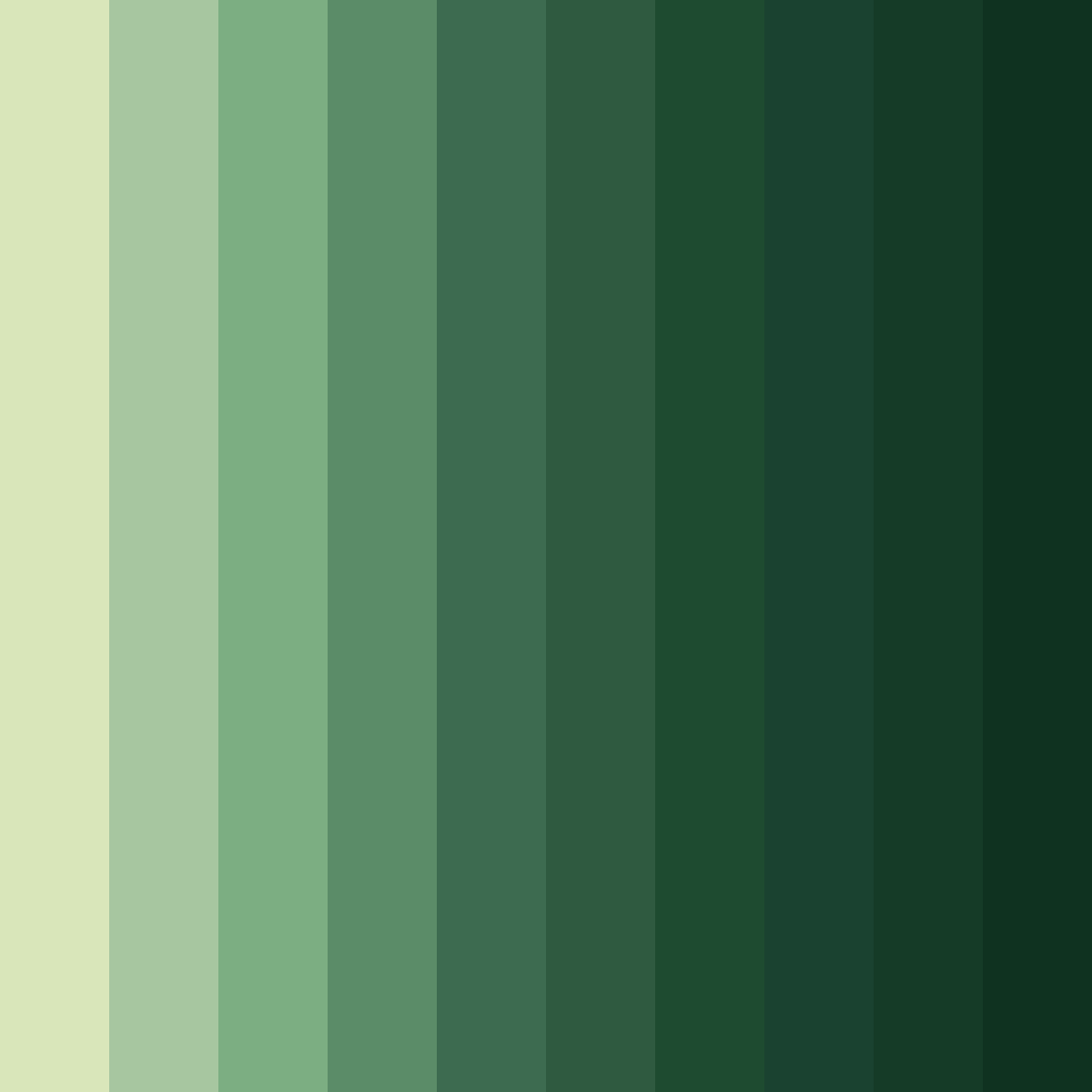 Download verdant essence color palette PNG image (square)