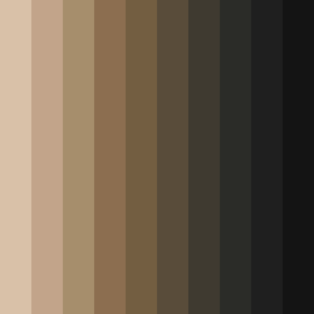 Download bronze elegance color palette PNG image (square)