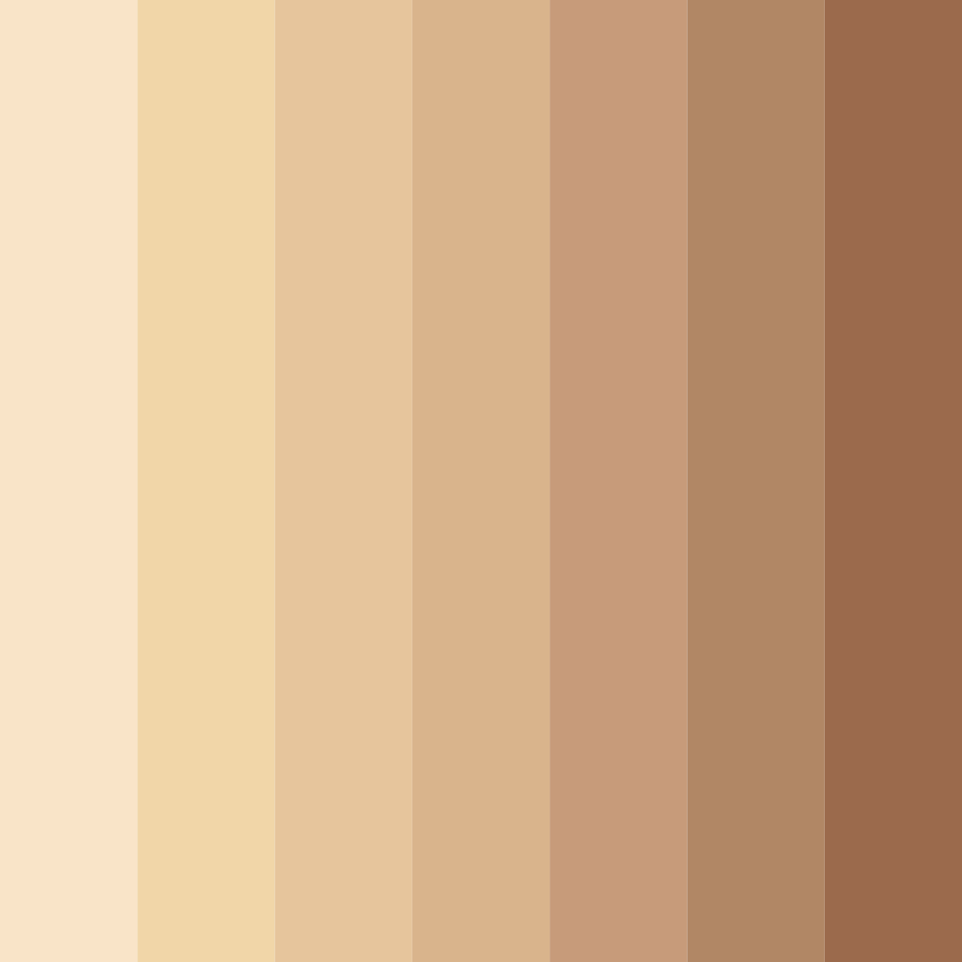 Download sunset whisper color palette PNG image (square)