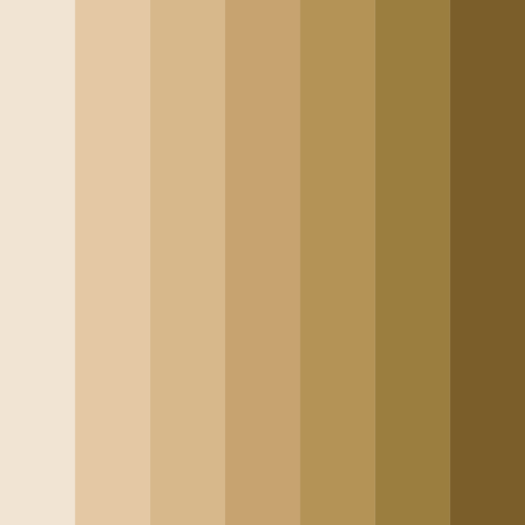 Download sandy sunrise color palette PNG image (square)