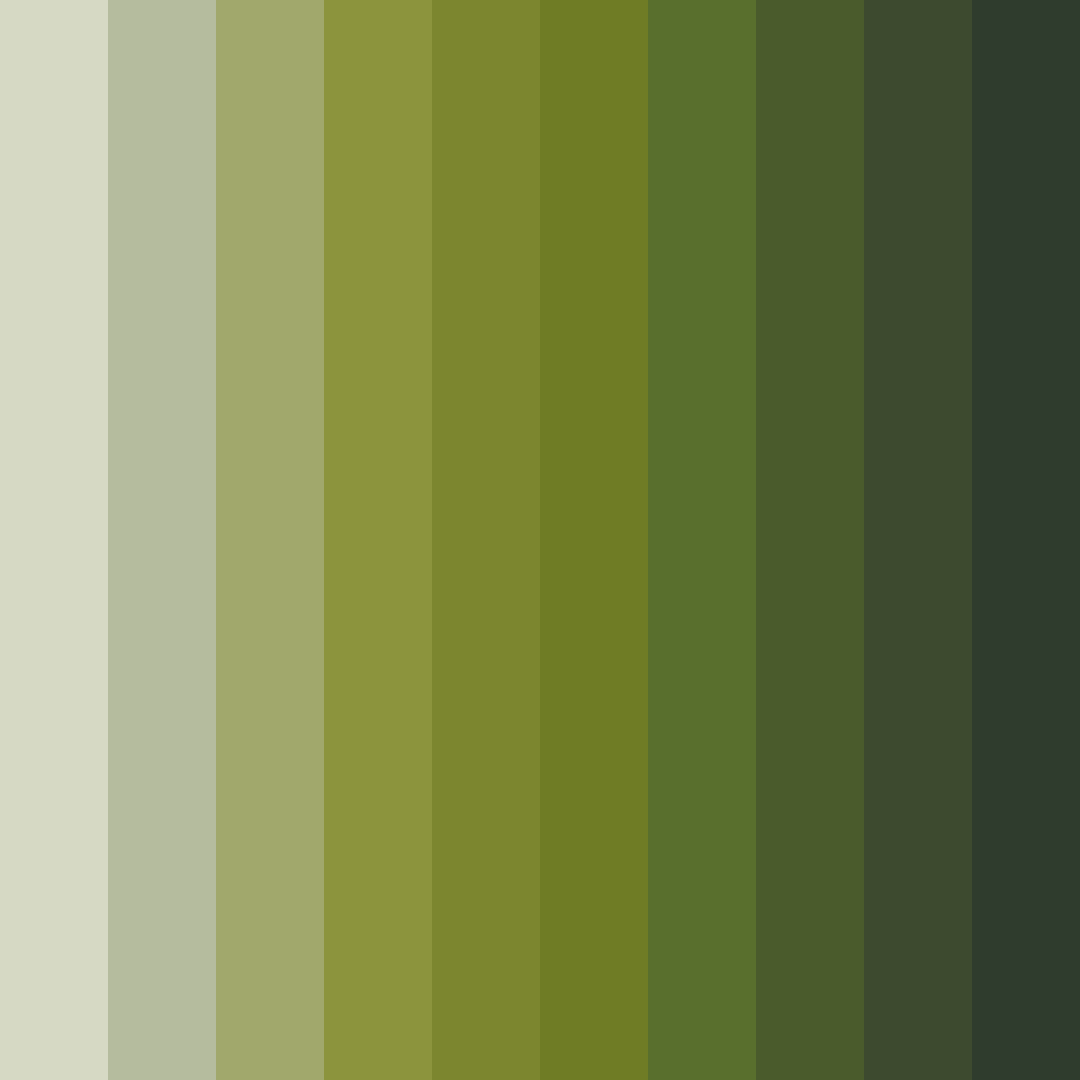 Download olive grey shades color palette PNG image (square)