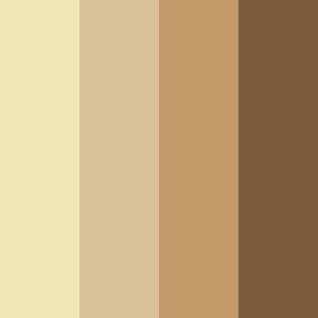 Download brown earth color palette PNG image (square)