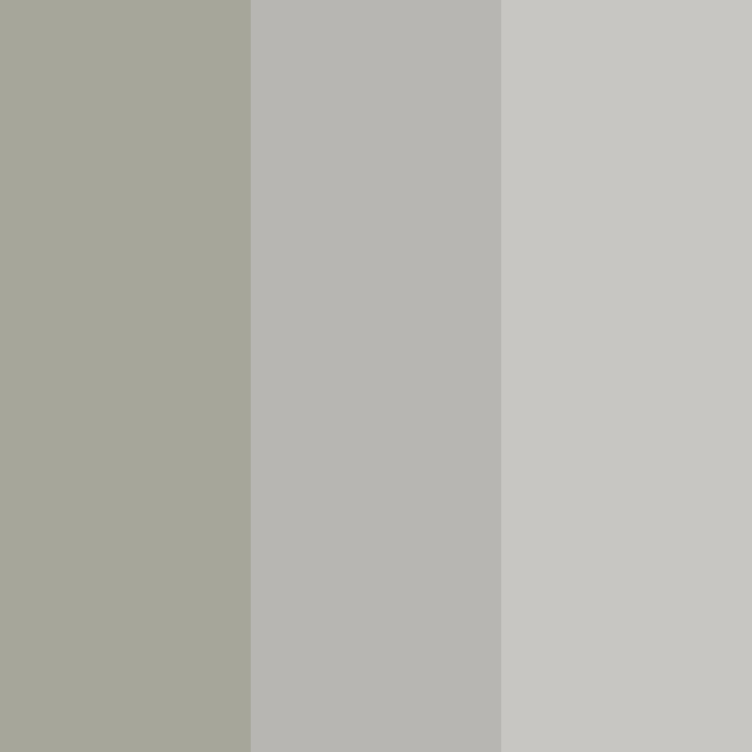 Download whispering shadows color palette PNG image (square)
