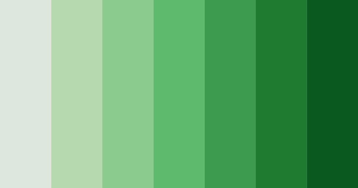 Download emerald canopy color palette PNG image (landscape)