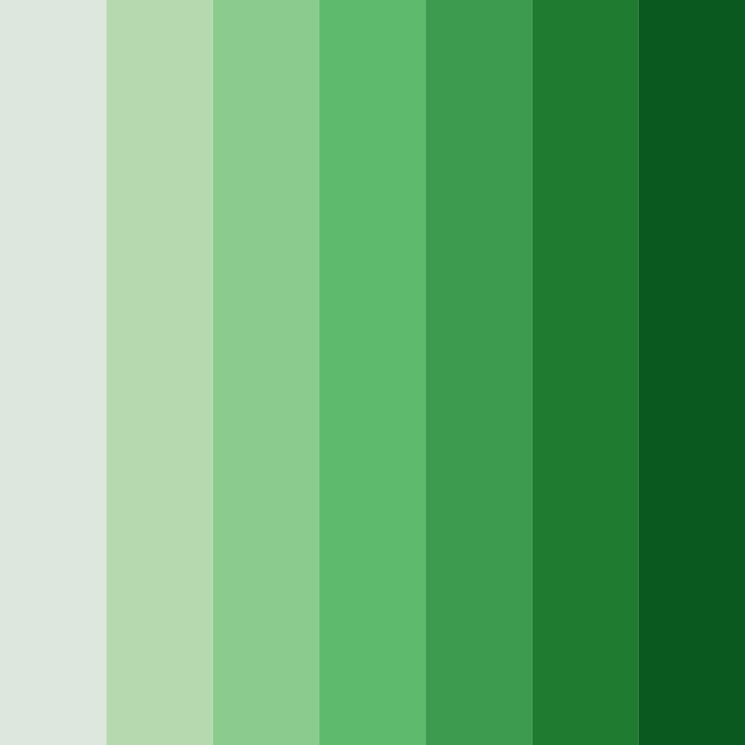 Download emerald canopy color palette PNG image (square)