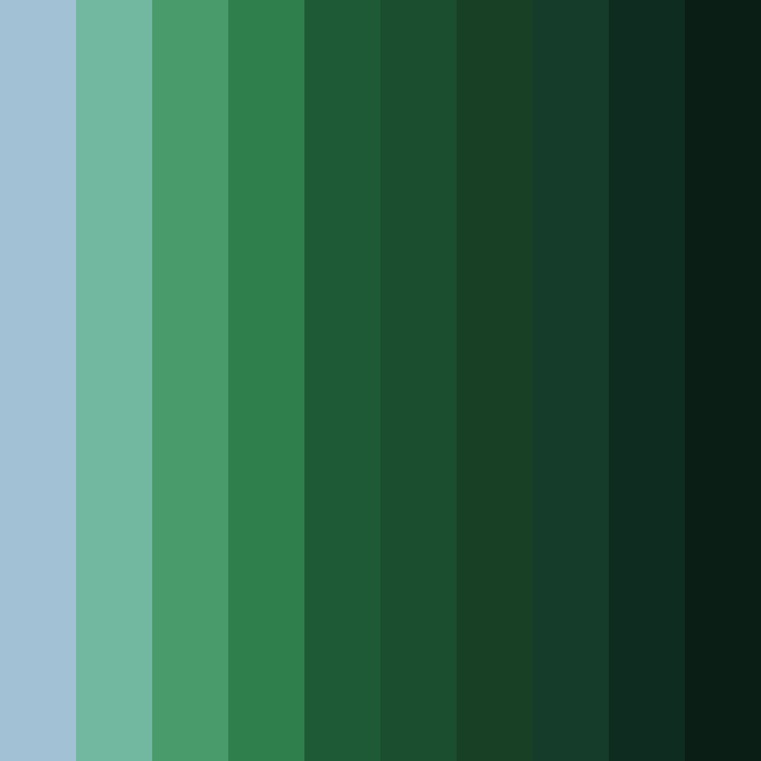 Download deep forest tide color palette PNG image (square)
