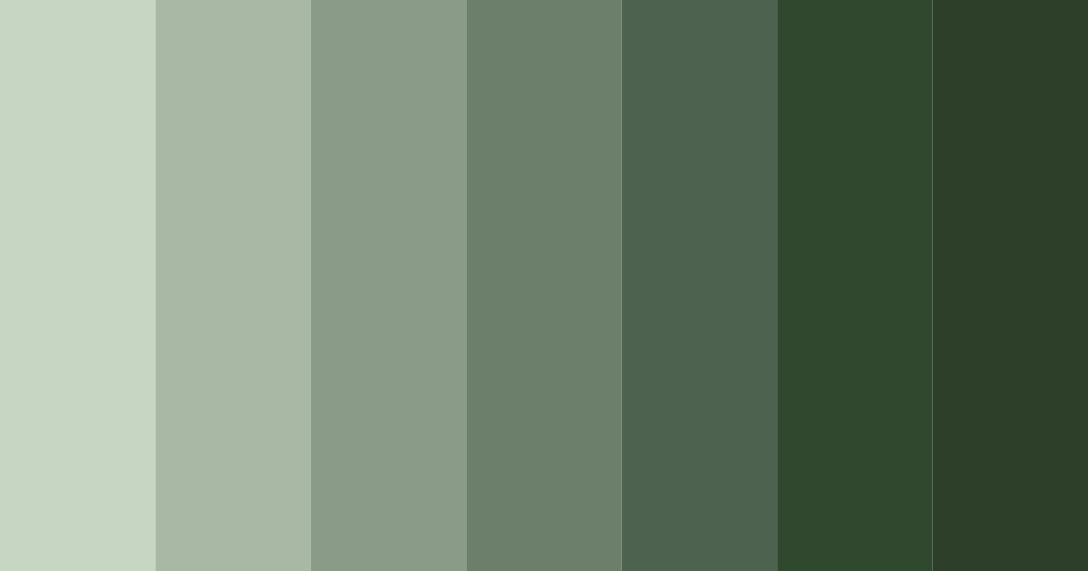 Download forest serenity color palette PNG image (landscape)