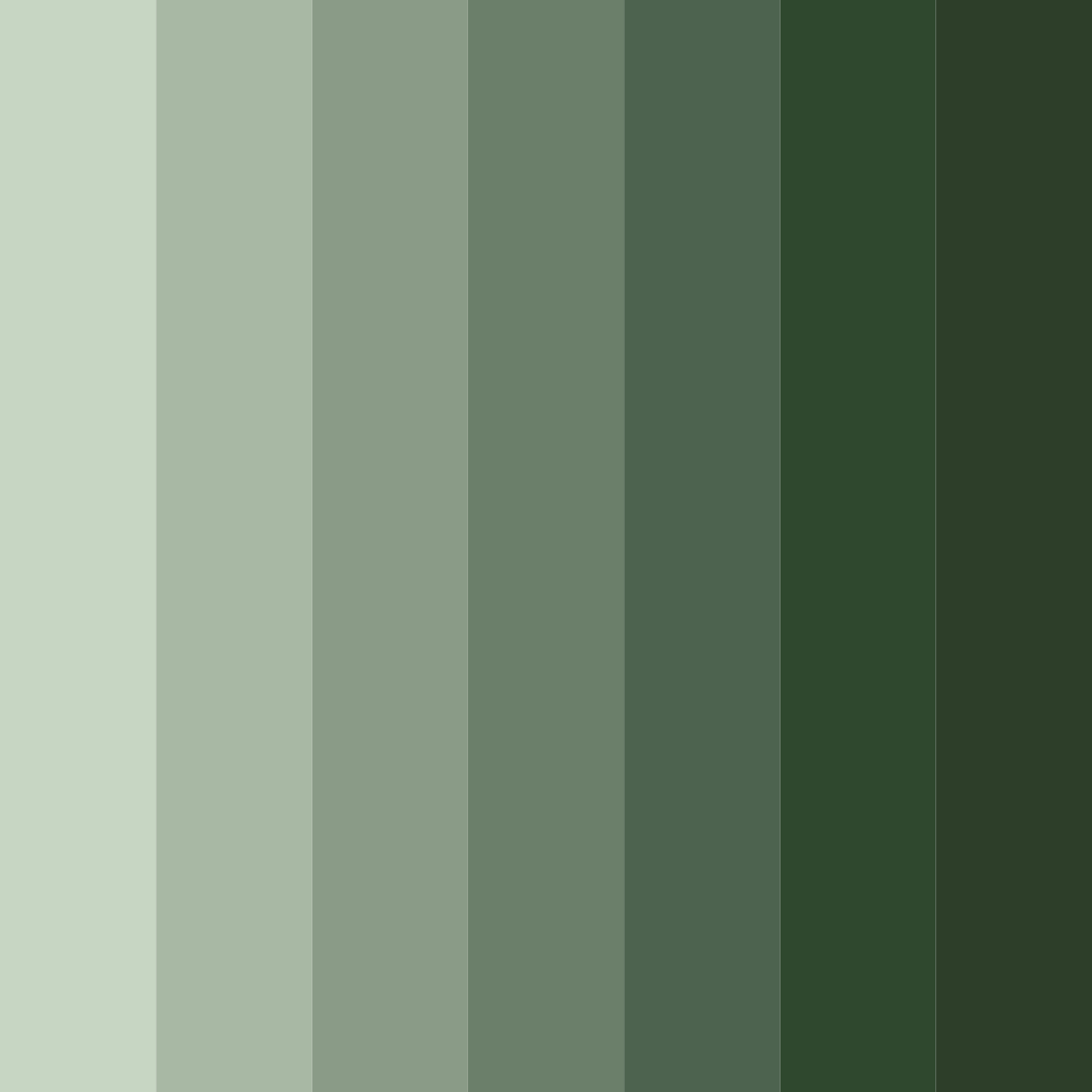 Download forest serenity color palette PNG image (square)